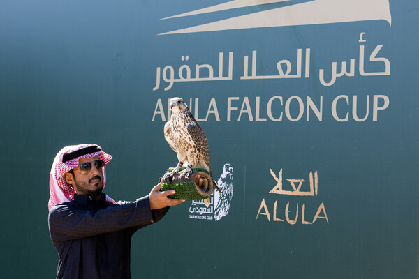 Inaugural AlUla Falcon Cup Celebrates Nine Days of Spectacular Heritage Sports and Record-Breaking Prizes