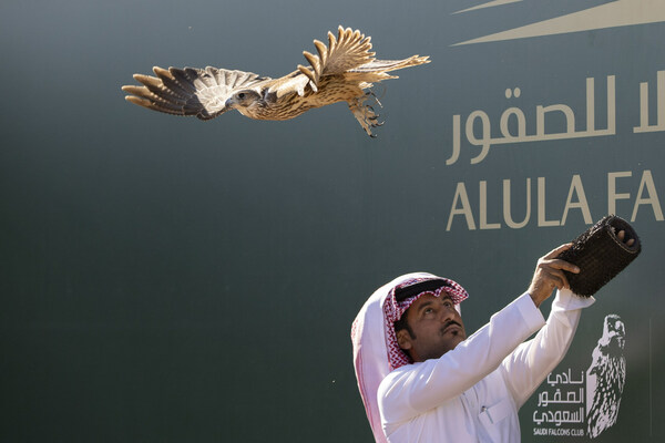 Inaugural AlUla Falcon Cup Celebrates Nine Days of Spectacular Heritage Sports and Record-Breaking Prizes