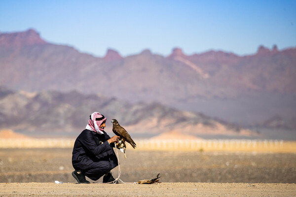 Inaugural AlUla Falcon Cup Celebrates Nine Days of Spectacular Heritage Sports and Record-Breaking Prizes