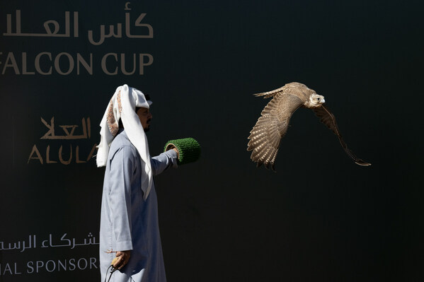 Inaugural AlUla Falcon Cup Celebrates Nine Days of Spectacular Heritage Sports and Record-Breaking Prizes