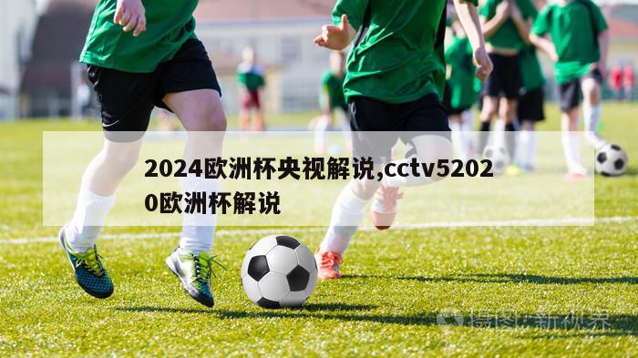 2024欧洲杯央视解说,cctv52020欧洲杯解说