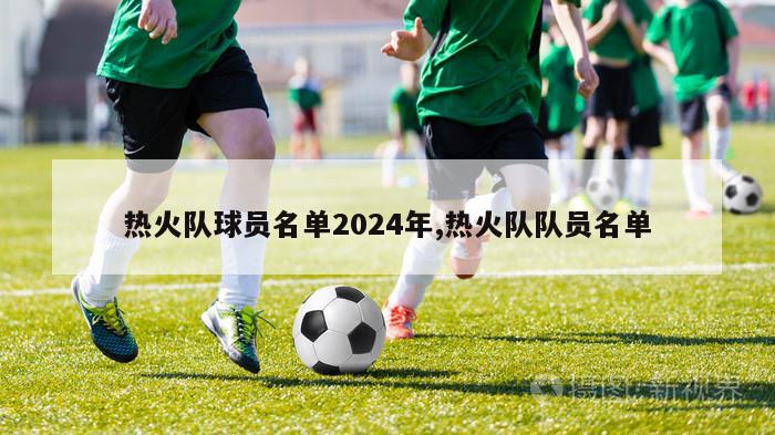 热火队球员名单2024年,热火队队员名单