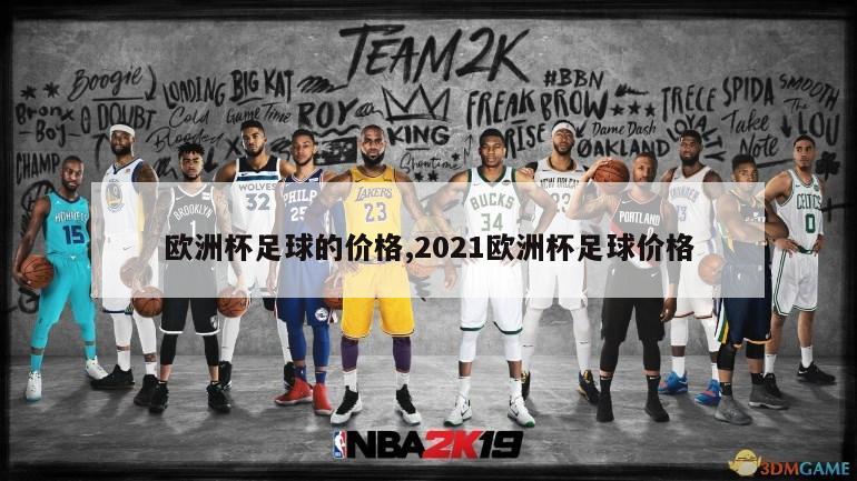 欧洲杯足球的价格,2021欧洲杯足球价格