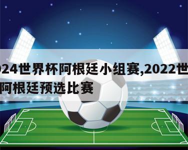 2024世界杯阿根廷小组赛,2022世界杯阿根廷预选比赛