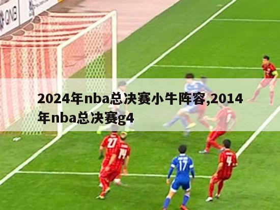 2024年nba总决赛小牛阵容,2014年nba总决赛g4