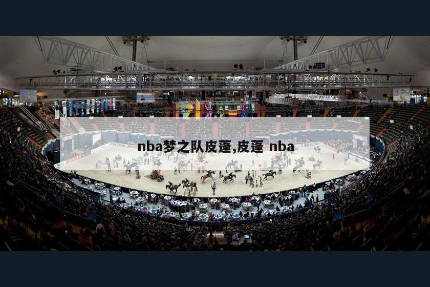 nba梦之队皮蓬,皮蓬 nba